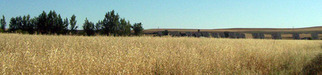 Vista panorámica de la instalación desde campo de cereal