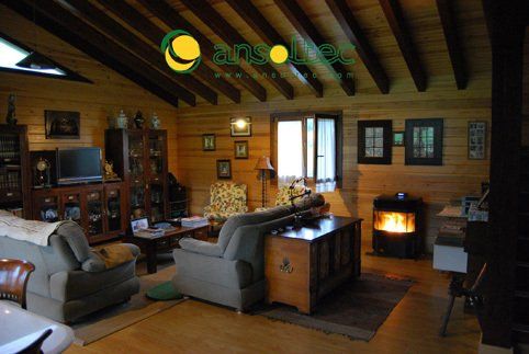 Ecoforest Eco I