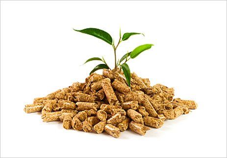 Biomasa