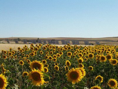 Fotovoltaica de 50 kWn en el campo de Palencia